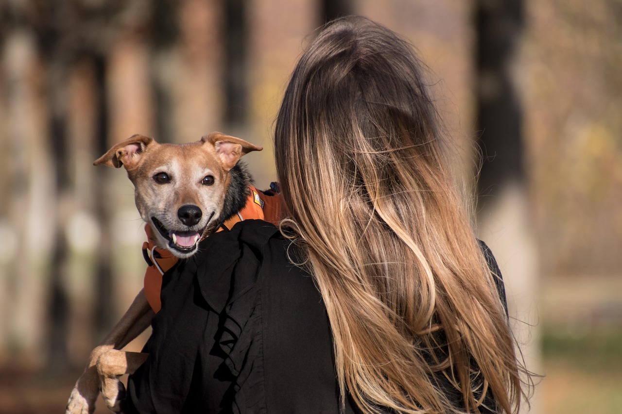 Owner cuddling dog