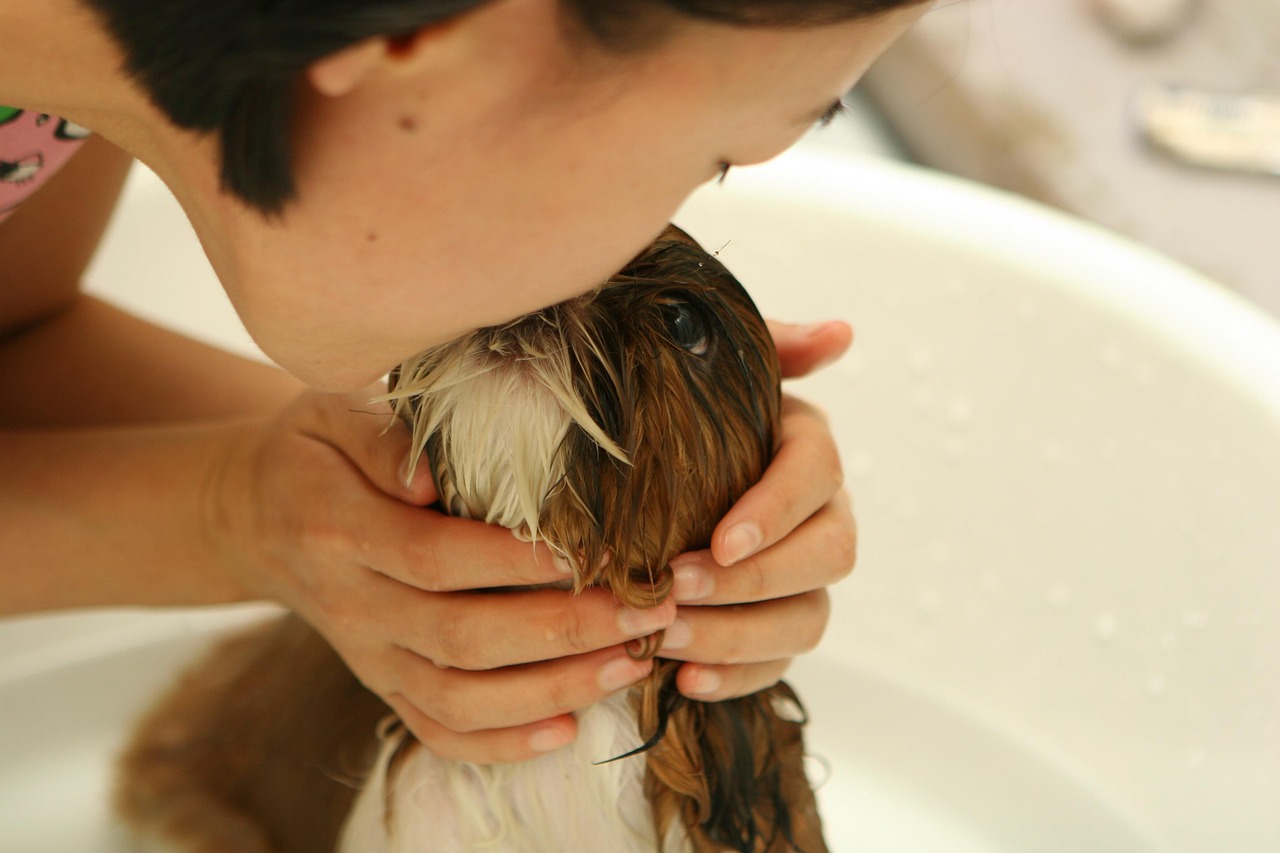 Pet owner with dog